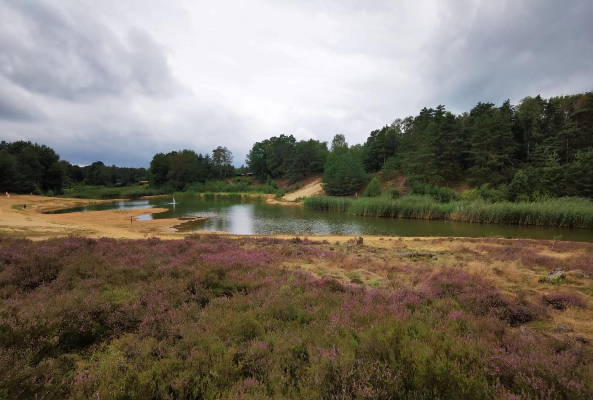 Tiny House Mit Garten In Der Lueneburger Heide Soltau Dış mekan fotoğraf