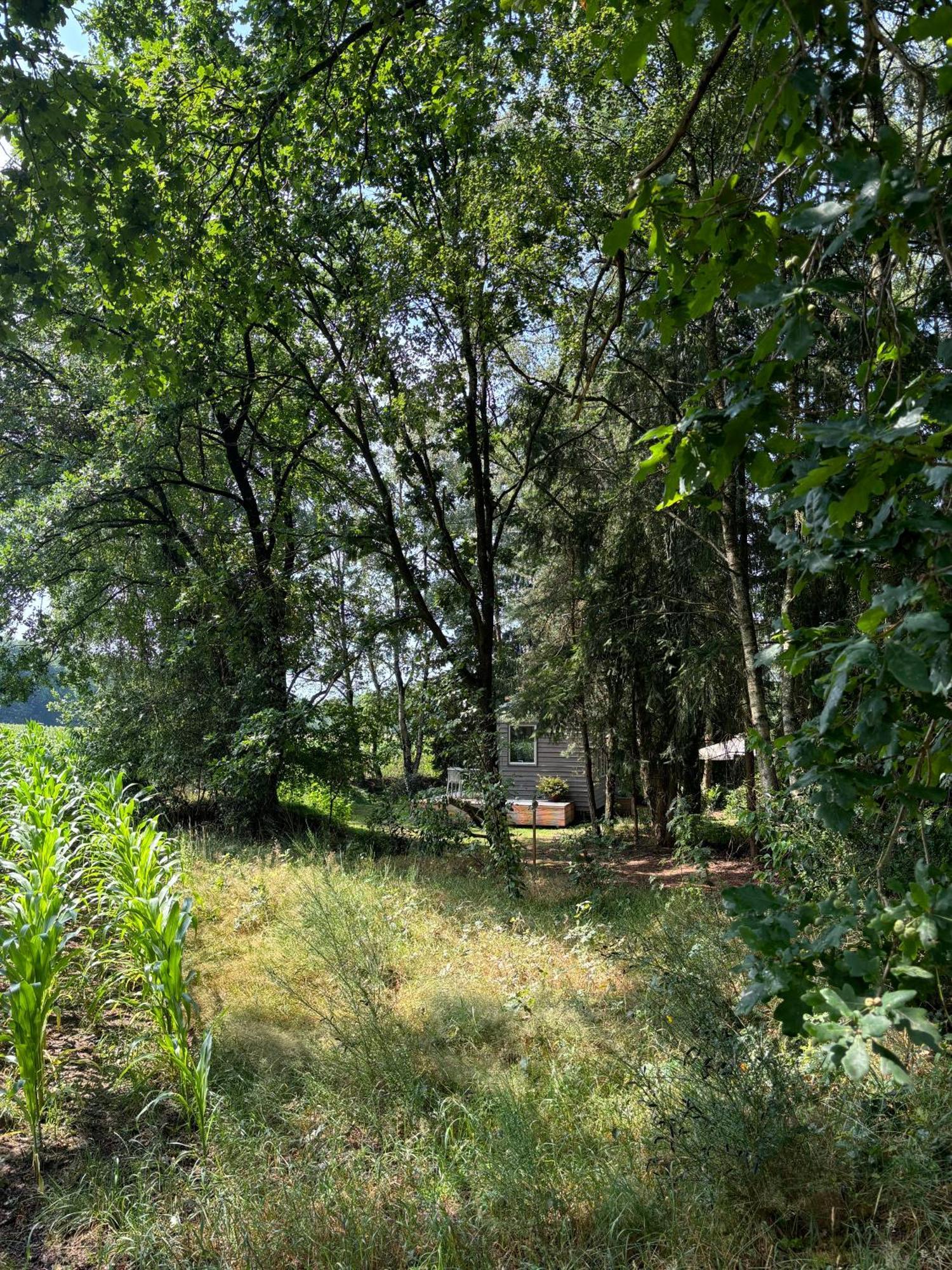 Tiny House Mit Garten In Der Lueneburger Heide Soltau Dış mekan fotoğraf